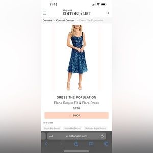 Dress The Population Sequin Dress